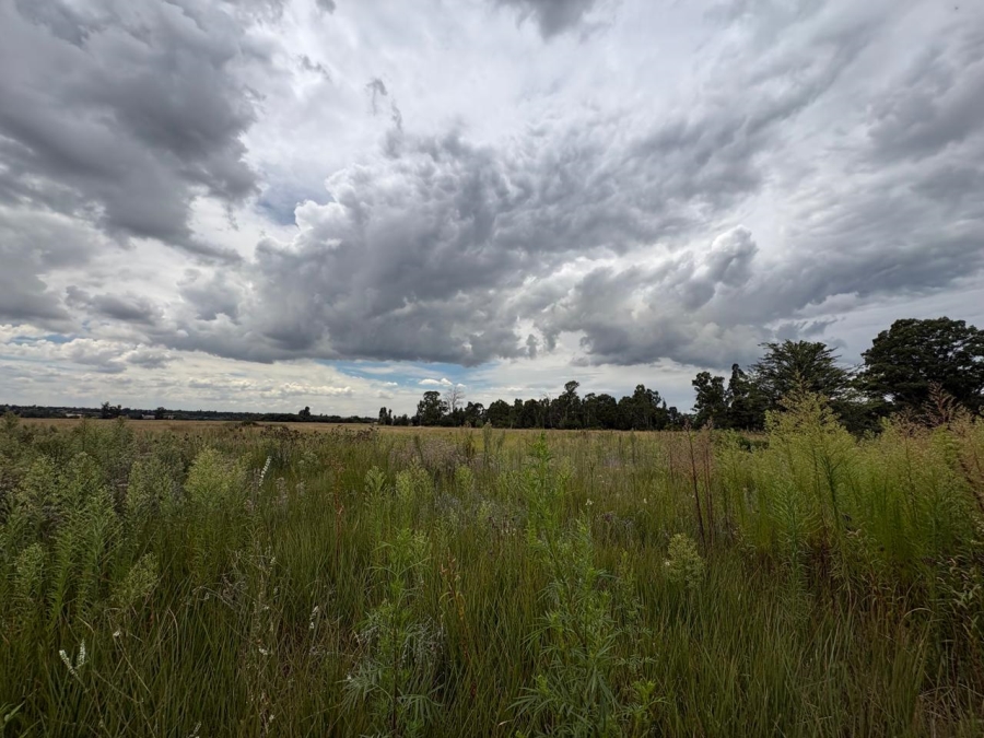 0 Bedroom Property for Sale in Vaalpark Free State